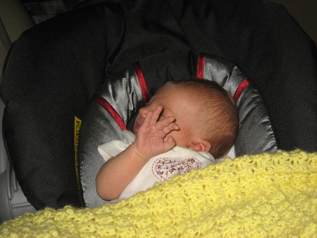 IMG_2819.JPG
