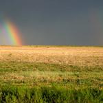 Rainbow_Field_Storm_Horizon.JPG