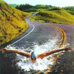 swimmer_in_road.jpg