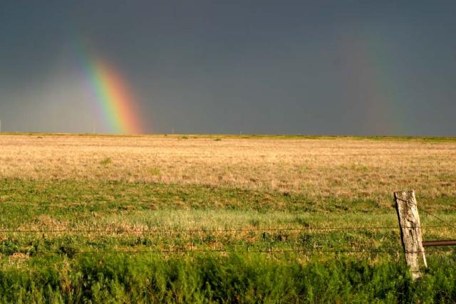 Rainbow_Field_Storm_Horizon.JPG